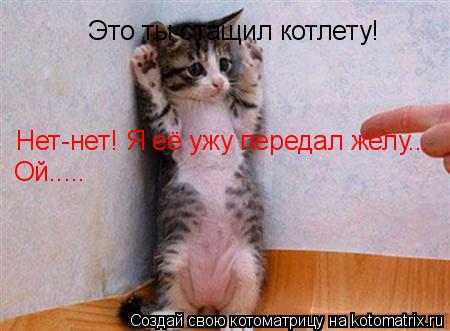 Это ты стащил котлету! Нет-нет! Я её ужу передал желу... Ой........ Котоматрица: Это ты стащил котлету! Нет-нет! Я её ужу передал желу... Ой.....