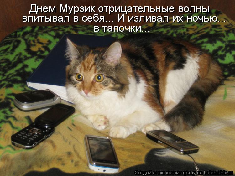 Днем Мурзик отрицательные волны впитывал в себя... И изливал их ночью... в тапочки...... Котоматрица: Днем Мурзик отрицательные волны впитывал в себя... И изливал их ночью... в тапочки...