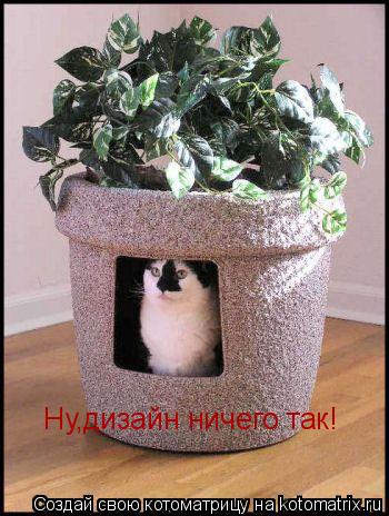Ну,дизайн ничего так!... Котоматрица: Ну,дизайн ничего так!