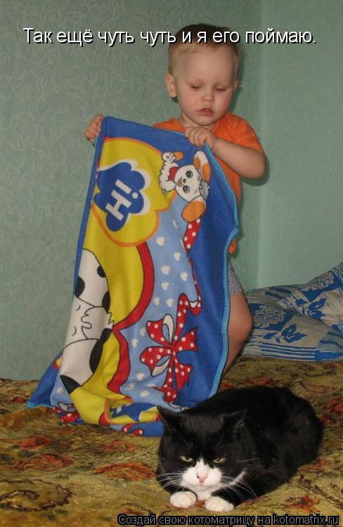 Так ещё чуть чуть и я его поймаю.... Котоматрица: Так ещё чуть чуть и я его поймаю.