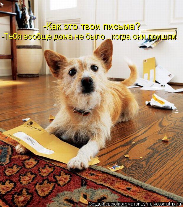 -Как это твои письма? -Тебя вообще дома не было ..когда они пришли... Котоматрица: -Как это твои письма? -Тебя вообще дома не было ..когда они пришли