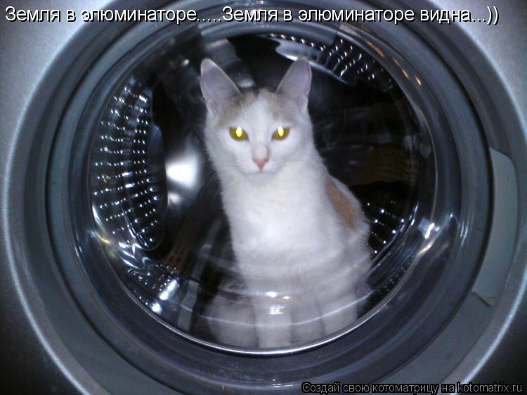Земля в элюминаторе.....Земля в элюминаторе видна...))... Котоматрица: Земля в элюминаторе.....Земля в элюминаторе видна...))