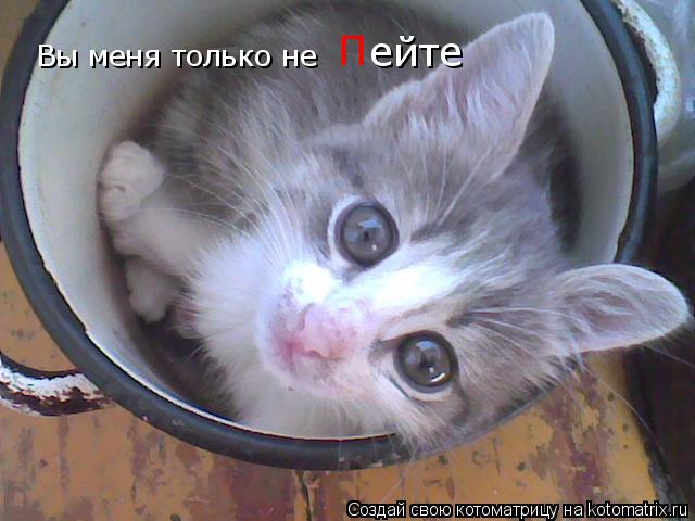 Вы меня только не П ейте... Котоматрица: Вы меня только не П ейте