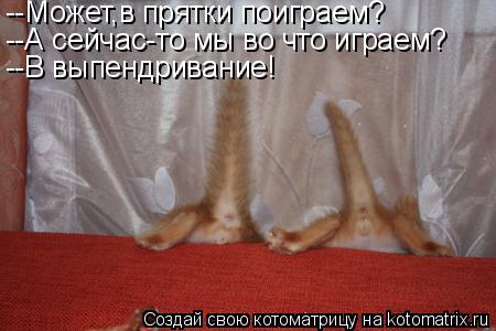 --Может,в прятки поиграем? --А сейчас-то мы во что играем? --В выпендривание!... Котоматрица: --Может,в прятки поиграем? --А сейчас-то мы во что играем? --В выпендривание!