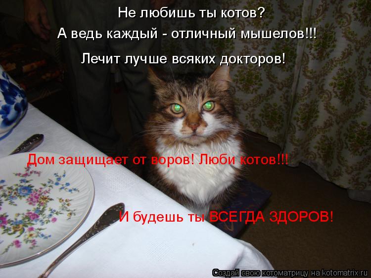 Не любишь ты котов? А ведь каждый - отличный мышелов!!! Лечит лучше всяких докторов! Дом защищает от... Котоматрица: Не любишь ты котов? А ведь каждый - отличный мышелов!!! Лечит лучше всяких докторов! Дом защищает от воров! Люби котов!!! И будешь ты ВСЕГДА ЗДО
