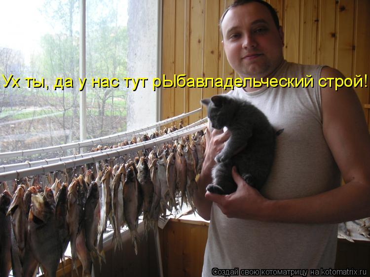 Ух ты, да у нас тут рЫбавладельческий строй!... Котоматрица: Ух ты, да у нас тут рЫбавладельческий строй!