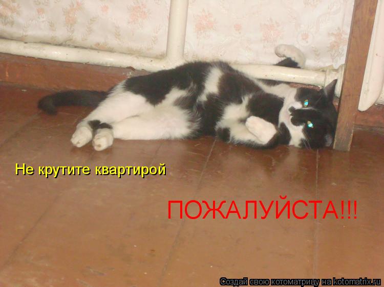 Не крутите квартирой ПОЖАЛУЙСТА!!!... Котоматрица: Не крутите квартирой ПОЖАЛУЙСТА!!!