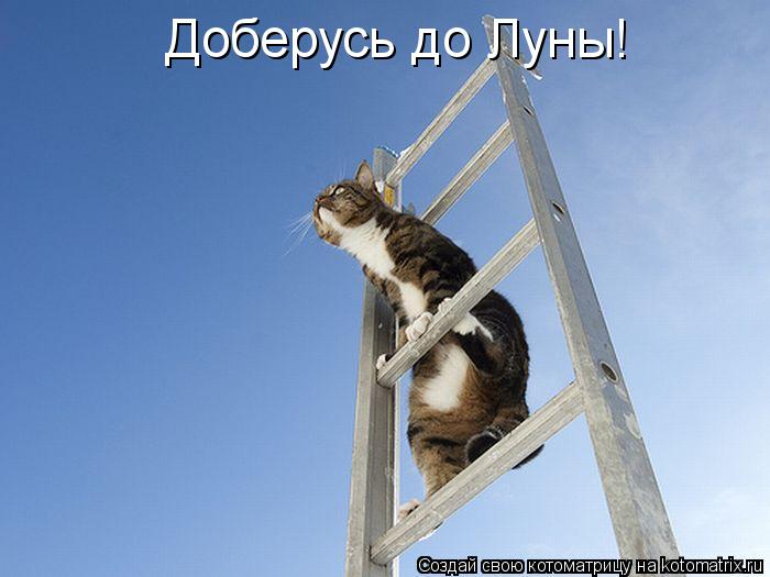 Доберусь до Луны!... Котоматрица: Доберусь до Луны!