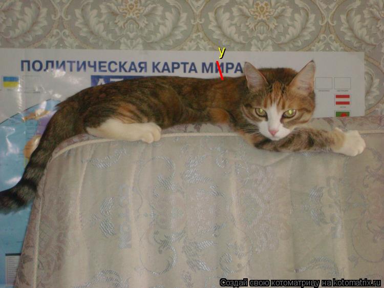 у \... Котоматрица: у \