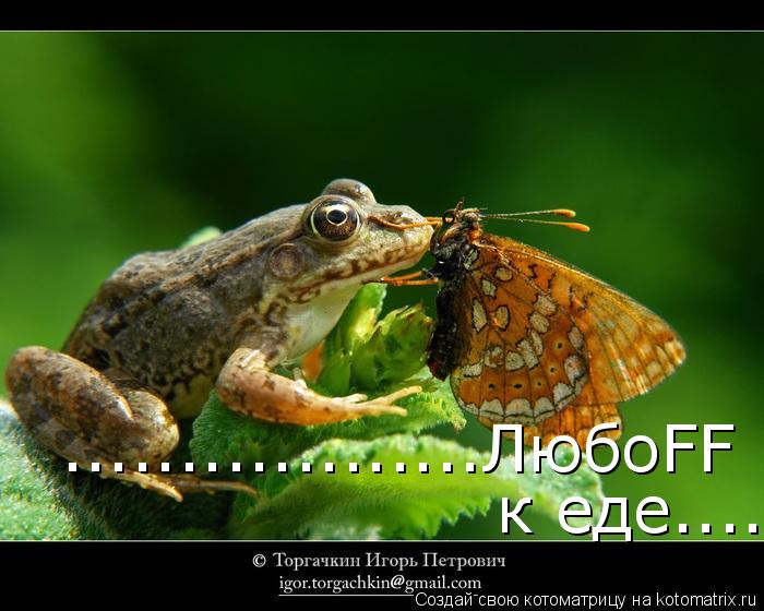 ..................ЛюбоFF к еде...................................................... Котоматрица: ..................ЛюбоFF к еде...................................................