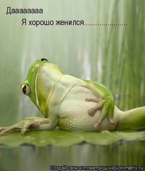 Даааааааа Я хорошо женился......................... Котоматрица: Даааааааа Я хорошо женился......................