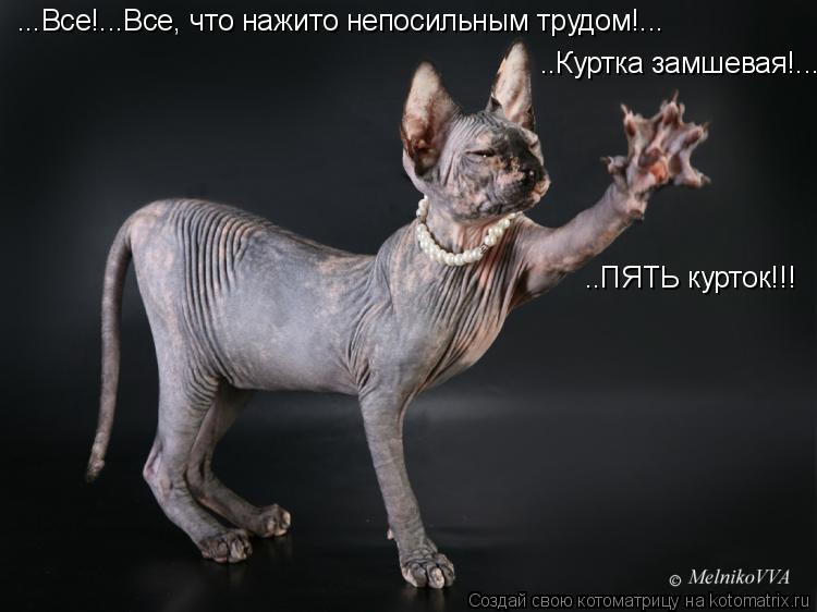 ...Все!...Все, что нажито непосильным трудом!... ..Куртка замшевая!.... ..ПЯТЬ курток!!!... Котоматрица: ...Все!...Все, что нажито непосильным трудом!... ..Куртка замшевая!.... ..ПЯТЬ курток!!!