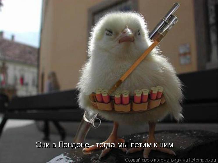 Они в Лондоне - тогда мы летим к ним... Котоматрица: Они в Лондоне - тогда мы летим к ним