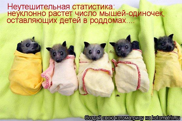 Неутешительная статистика: неуклонно растет число мышей-одиночек, оставляющих детей в роддомах....... Котоматрица: Неутешительная статистика: неуклонно растет число мышей-одиночек, оставляющих детей в роддомах....