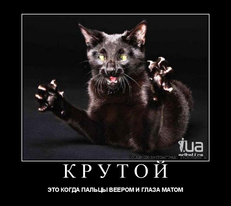 КРУТОЙ ЭТО КОГДА ПАЛЬЦЫ ВЕЕРОМ И ГЛАЗА МАТОМ... Котоматрица: КРУТОЙ ЭТО КОГДА ПАЛЬЦЫ ВЕЕРОМ И ГЛАЗА МАТОМ