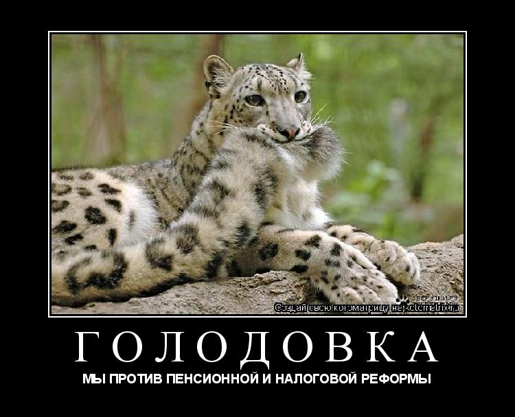 ГОЛОДОВКА МЫ ПРОТИВ ПЕНСИОННОЙ И НАЛОГОВОЙ РЕФОРМЫ... Котоматрица: ГОЛОДОВКА МЫ ПРОТИВ ПЕНСИОННОЙ И НАЛОГОВОЙ РЕФОРМЫ