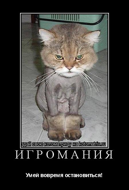 ИГРОМАНИЯ Умей вовремя остановиться!... Котоматрица: ИГРОМАНИЯ Умей вовремя остановиться!
