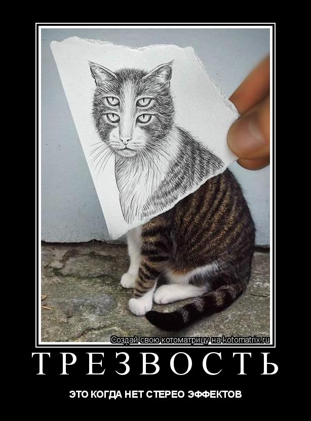 ТРЕЗВОСТЬ ЭТО КОГДА НЕТ СТЕРЕО ЭФФЕКТОВ... Котоматрица: ТРЕЗВОСТЬ ЭТО КОГДА НЕТ СТЕРЕО ЭФФЕКТОВ