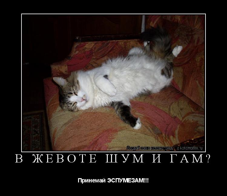 В жевоте шум и гам? Принемай ЭСПУМЕЗАМ!!!... Котоматрица: В жевоте шум и гам? Принемай ЭСПУМЕЗАМ!!!