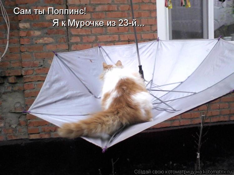 Сам ты Поппинс! Я к Мурочке из 23-й...... Котоматрица: Сам ты Поппинс! Я к Мурочке из 23-й...