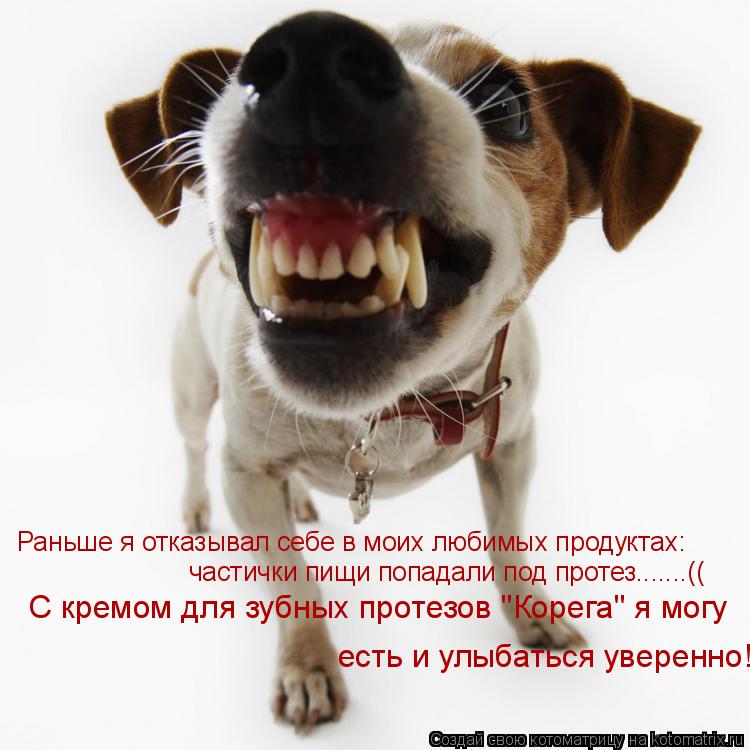 Раньше я отказывал себе в моих любимых продуктах: частички пищи попадали под протез.......(( С кремом... Котоматрица: Раньше я отказывал себе в моих любимых продуктах: частички пищи попадали под протез.......(( С кремом для зубных протезов "Корега" я могу есть и