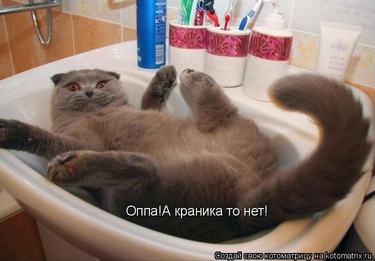 Оппа!А краника то нет!... Котоматрица: Оппа!А краника то нет!