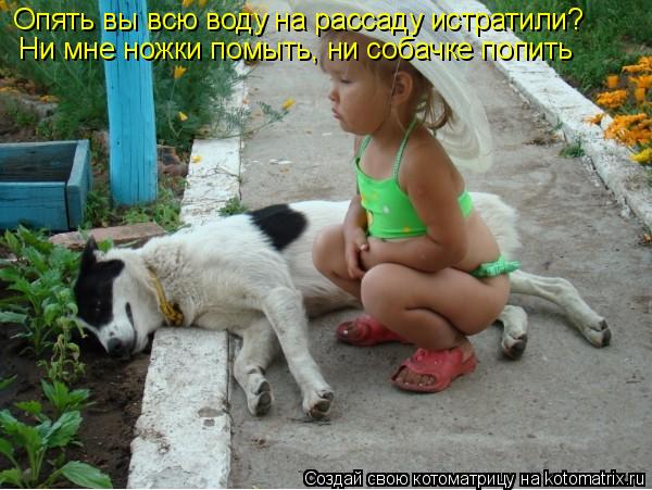 Опять вы всю воду на рассаду истратили? Ни мне ножки помыть, ни собачке попить... Котоматрица: Опять вы всю воду на рассаду истратили? Ни мне ножки помыть, ни собачке попить