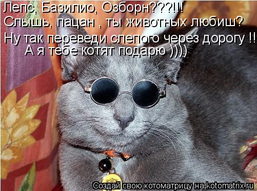 Лепс, Базилио, Озборн???!!! Слышь, пацан , ты животных любиш? Ну так переведи слепого через дорогу !!... Котоматрица: Лепс, Базилио, Озборн???!!! Слышь, пацан , ты животных любиш? Ну так переведи слепого через дорогу !!! А я тебе котят подарю ))))