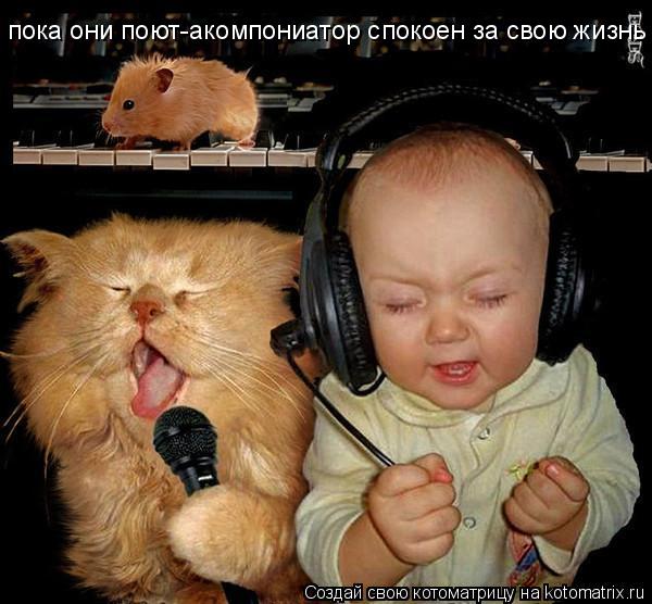 пока они поют-акомпониатор спокоен за свою жизнь... Котоматрица: пока они поют-акомпониатор спокоен за свою жизнь