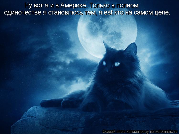 Ну вот я и в Америке. Только в полном одиночестве я становлюсь тем, я est кто на самом деле.... Котоматрица: Ну вот я и в Америке. Только в полном одиночестве я становлюсь тем, я est кто на самом деле.