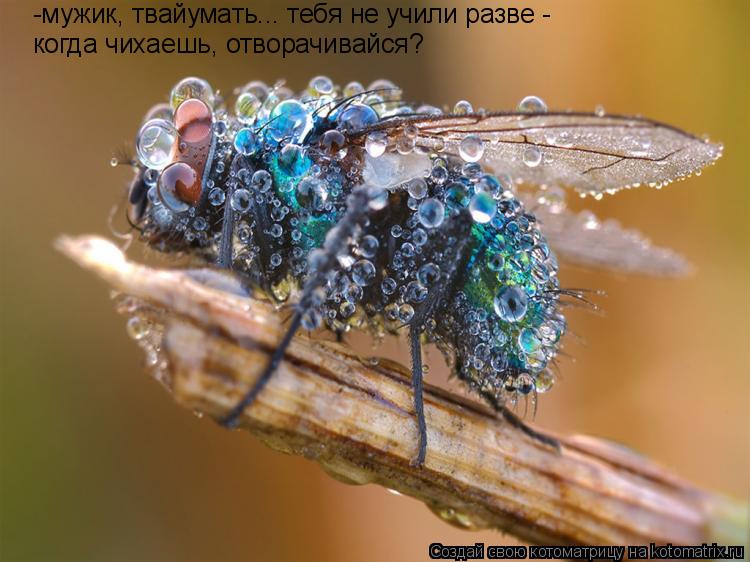 -мужик, твайумать... тебя не учили разве - когда чихаешь, отворачивайся?... Котоматрица: -мужик, твайумать... тебя не учили разве - когда чихаешь, отворачивайся?