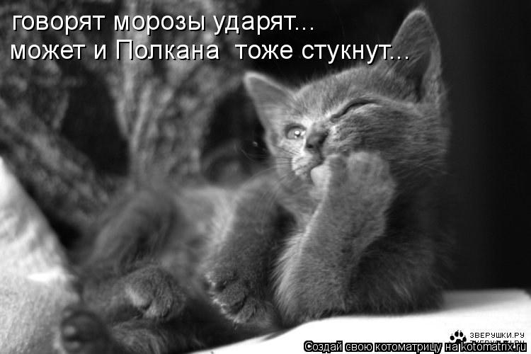 говорят морозы ударят... может и Полкана тоже стукнут...... Котоматрица: говорят морозы ударят... может и Полкана тоже стукнут...