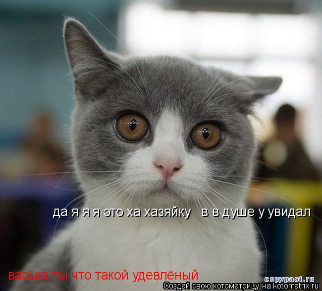 васька ты что такой удевлёный да я я я это ха хазяйку в в душе у увидал... Котоматрица: васька ты что такой удевлёный да я я я это ха хазяйку в в душе у увидал
