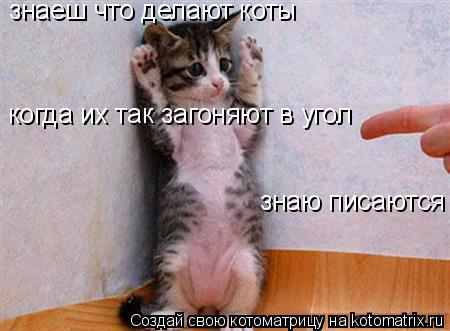 знаеш что делают коты когда их так загоняют в угол знаю писаются... Котоматрица: знаеш что делают коты когда их так загоняют в угол знаю писаются