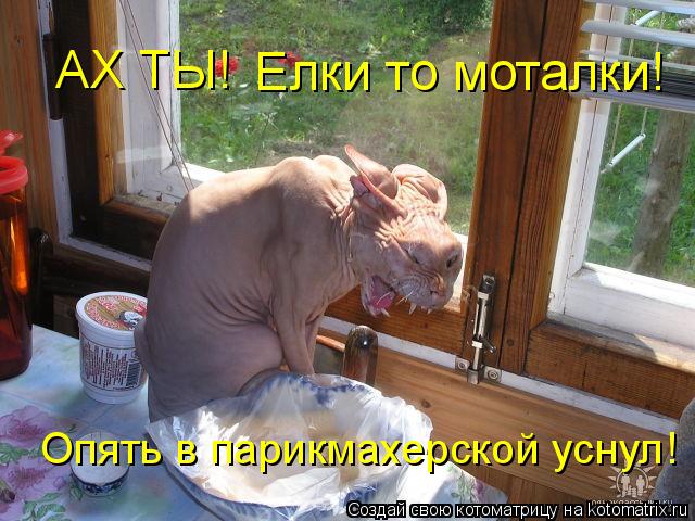 АХ ТЫ! Елки то моталки! Опять в парикмахерской уснул!... Котоматрица: АХ ТЫ! Елки то моталки! Опять в парикмахерской уснул!