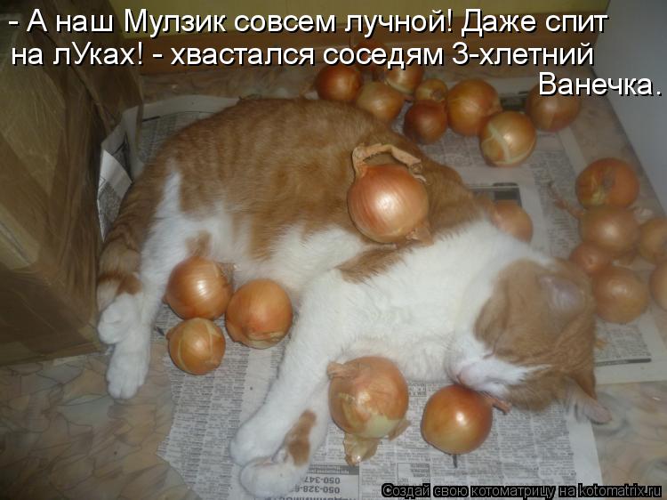 - А наш Мулзик совсем лучной! Даже спит на лУках! - хвастался соседям 3-хлетний Ванечка.... Котоматрица: - А наш Мулзик совсем лучной! Даже спит на лУках! - хвастался соседям 3-хлетний Ванечка.