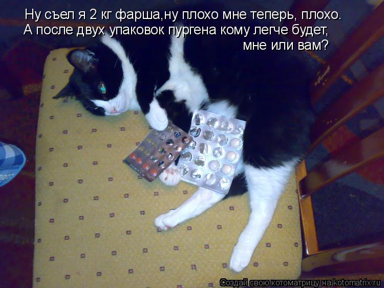 Ну съел я 2 кг фарша,ну плохо мне теперь, плохо. А после двух упаковок пургена кому легче будет, мне ... Котоматрица: Ну съел я 2 кг фарша,ну плохо мне теперь, плохо. А после двух упаковок пургена кому легче будет, мне или вам?