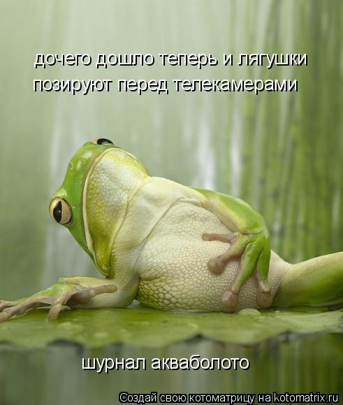 дочего дошло теперь и лягушки позируют перед телекамерами шурнал акваболото... Котоматрица: дочего дошло теперь и лягушки позируют перед телекамерами шурнал акваболото