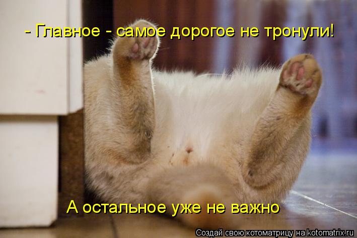 - Главное - самое дорогое не тронули! А остальное уже не важно... Котоматрица: - Главное - самое дорогое не тронули! А остальное уже не важно