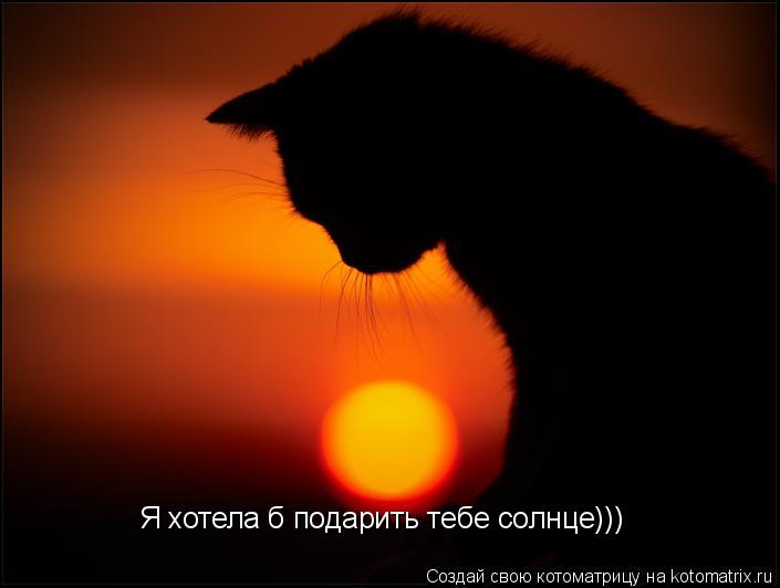 Я хотела б подарить тебе солнце)))... Котоматрица: Я хотела б подарить тебе солнце)))