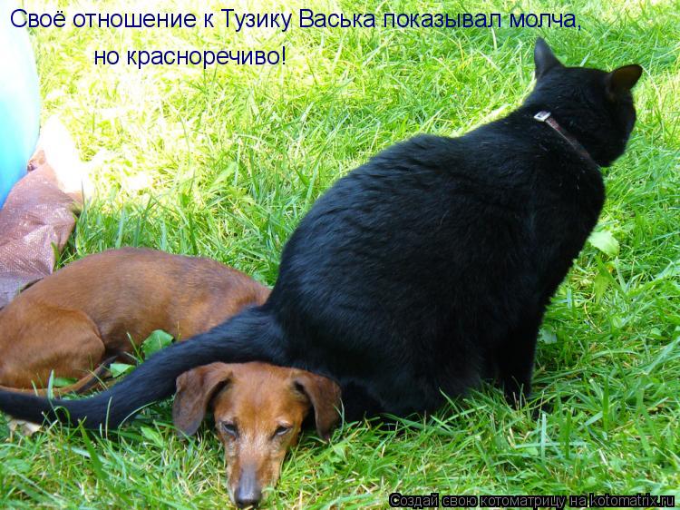 Своё отношение к Тузику Васька показывал молча, но красноречиво!... Котоматрица: Своё отношение к Тузику Васька показывал молча, но красноречиво!