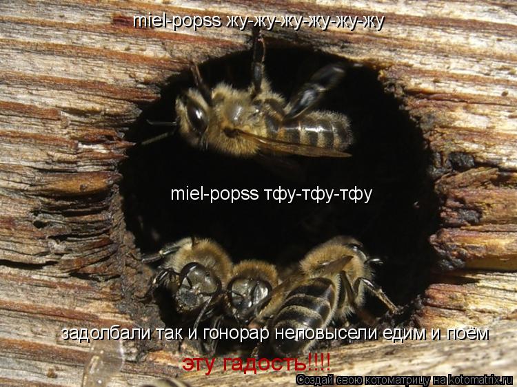 miel-popss жу-жу-жу-жу-жу-жу miel-popss тфу-тфу-тфу задолбали так и гонорар неповысели едим и поём э... Котоматрица: miel-popss жу-жу-жу-жу-жу-жу miel-popss тфу-тфу-тфу задолбали так и гонорар неповысели едим и поём эту гадость!!!!