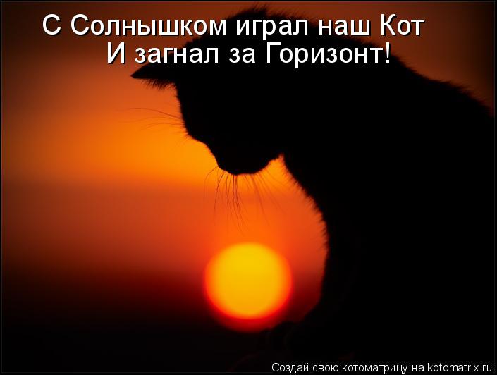 С Солнышком играл наш Кот И загнал за Горизонт!... Котоматрица: С Солнышком играл наш Кот И загнал за Горизонт!