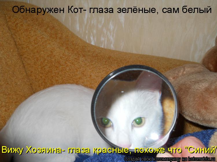 Обнаружен Кот- глаза зелёные, сам белый Вижу Хозяина- глаза красные, похоже что "Синий"... Котоматрица: Обнаружен Кот- глаза зелёные, сам белый Вижу Хозяина- глаза красные, похоже что "Синий"
