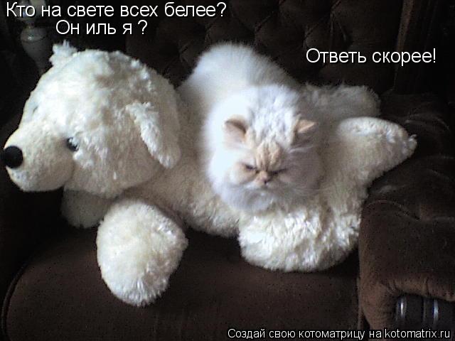 Кто на свете всех белее? Он иль я ? Ответь скорее!... Котоматрица: Кто на свете всех белее? Он иль я ? Ответь скорее!