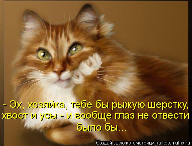 - Эх, хозяйка, тебе бы рыжую шерстку, хвост и усы - и вообще глаз не отвести было бы...... Котоматрица: - Эх, хозяйка, тебе бы рыжую шерстку, хвост и усы - и вообще глаз не отвести было бы...