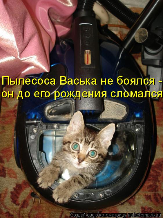 Пылесоса Васька не боялся - он до его рождения сломался...... Котоматрица: Пылесоса Васька не боялся - он до его рождения сломался...