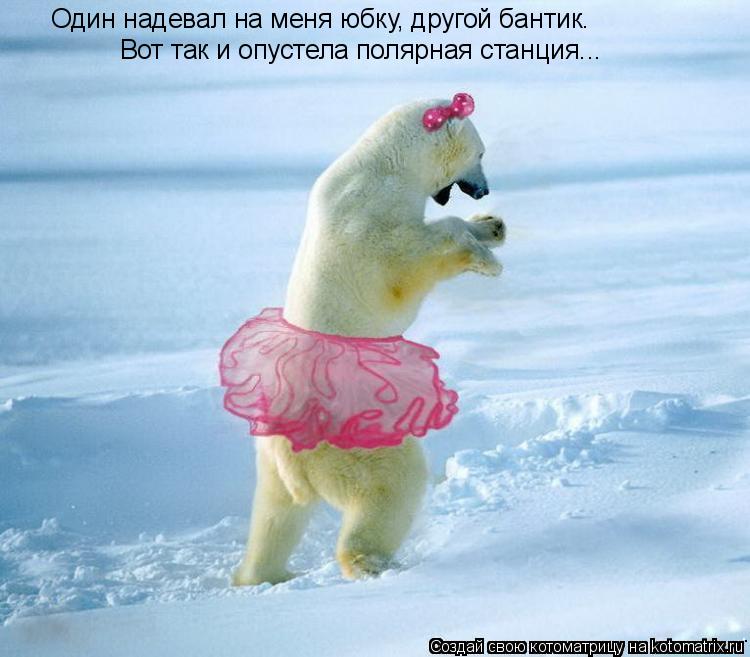 Один надевал на меня юбку, другой бантик. Вот так и опустела полярная станция...... Котоматрица: Один надевал на меня юбку, другой бантик. Вот так и опустела полярная станция...