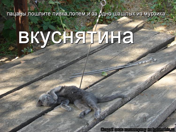пацаны,пошлите пивка попем,и за одно шашлык из мурзика пацаны,пошлите пивка попем,и за одно шашлык из... Котоматрица: пацаны,пошлите пивка попем,и за одно шашлык из мурзика пацаны,пошлите пивка попем,и за одно шашлык из мурзика вкуснятина