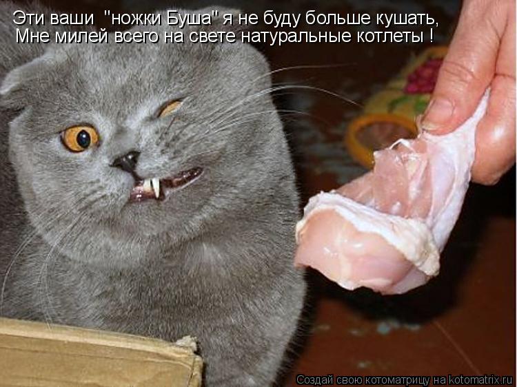 Эти ваши "ножки Буша" я не буду больше кушать, Мне милей всего на свете натуральные котлеты !... Котоматрица: Эти ваши "ножки Буша" я не буду больше кушать, Мне милей всего на свете натуральные котлеты !